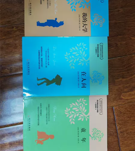 高尔基三部曲 童年 在人间 我的大学 感兴...