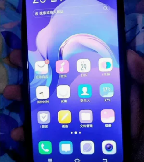 VIVO VIVO X21（全网通）viv...