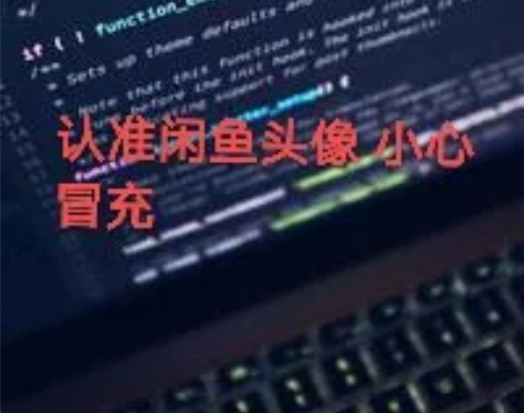 超级酷帅操作黑客红客在线靠谱科技在线大神思...