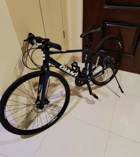 捷安特平把公路，escape1，禧玛诺变速...