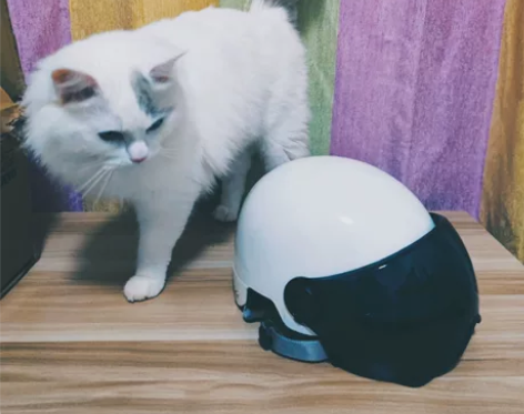 买到即赚到，买到即赚到！ 99新德国尊尚折...