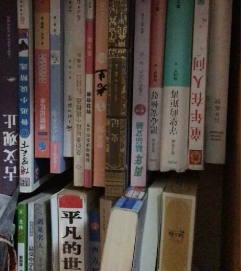 课外读物 散文 小说  四大名著 大学数学...