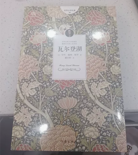 新书《瓦尔登湖》未拆封膜,外国文学名著, ...