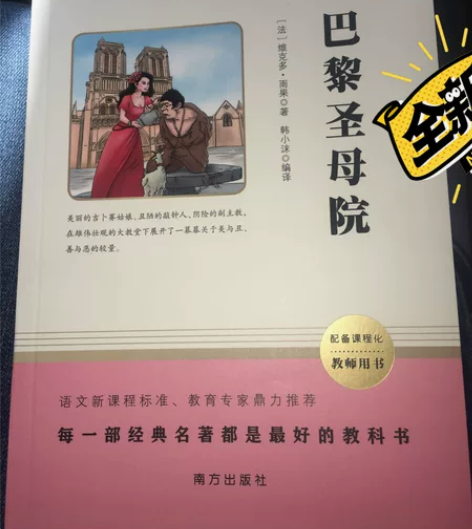 巴黎圣母院配备课程化，教师用书一本，全新的...