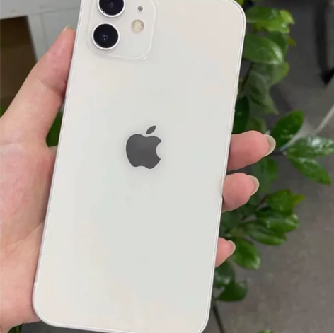 iPhone 12 国行  256G 有配...