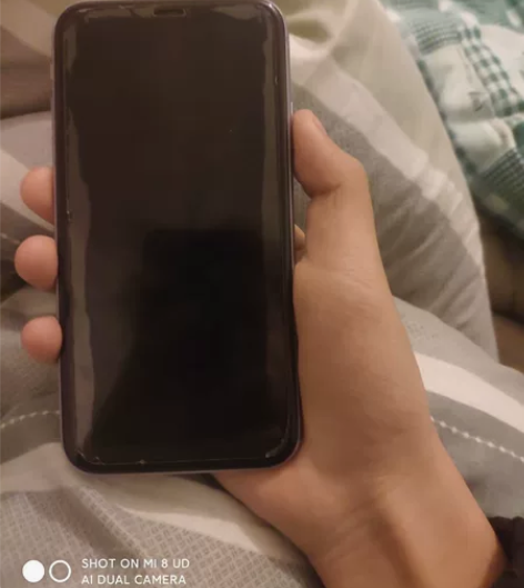 苹果11换过移电芯电池爱思可查，后盖摄像头...