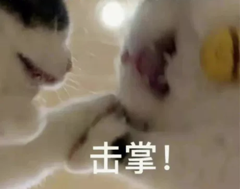 初中政治补习一小时，感兴趣的私我 感兴趣的...