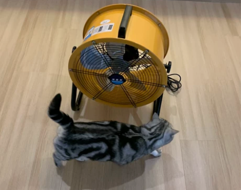 清淼风趴地扇工业风扇大风力台式大功率商用落...