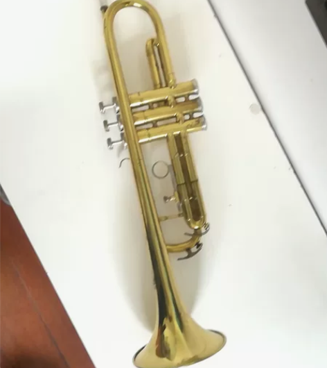 星海小号，音色很好，纯正明亮。小孩大了不吹...