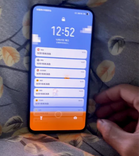 Meizu/魅族 魅族 17 Pro(5G...