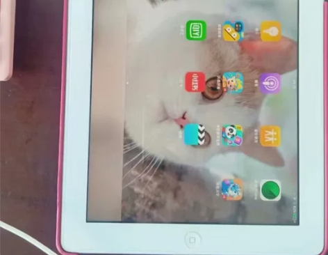 真的不用了！出自己平时使用的一台平板ipa...