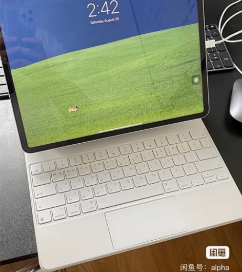 ?12.9 英寸 iPad Pro 无线局...