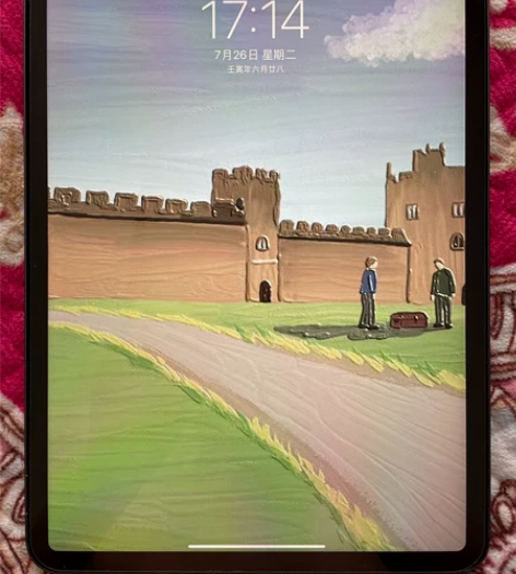 98新iPad Pro 11寸 2021款...