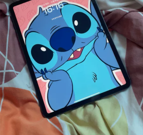 延保512g插卡iPad Pro11寸Wi...