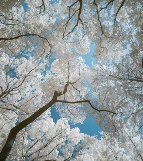 佳能全画幅单反5d改红外白玻璃 功能正常 ...