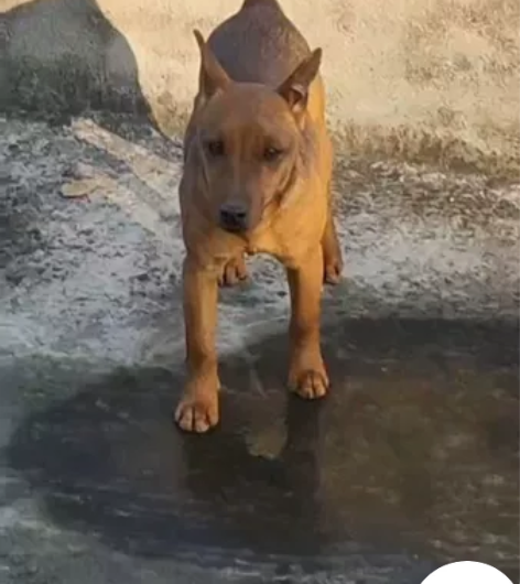 7.18日出生 兴奋度欲望很高  非常活跃...