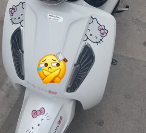 新大洲本田电动车，纯白色，过年550块钱才...