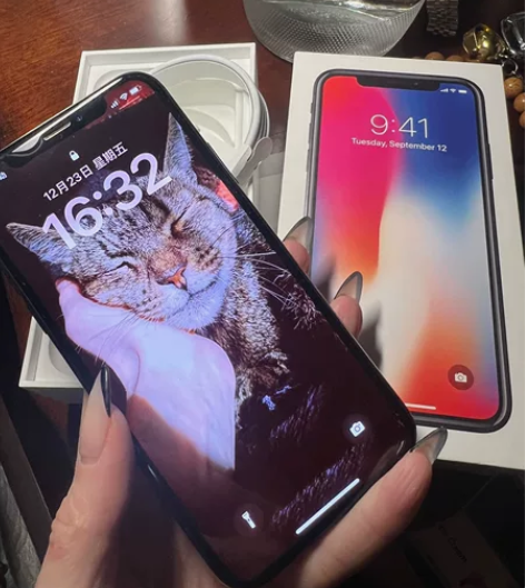 自用的iPhoneX256G 国行黑色 无...