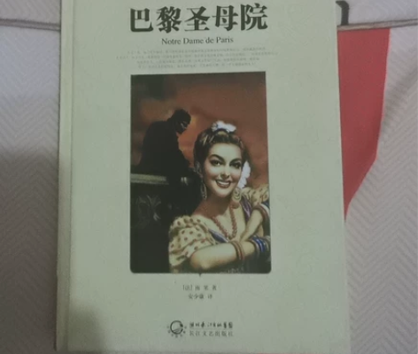 名著必读课外阅读书籍巴黎圣母院 感兴趣的话...