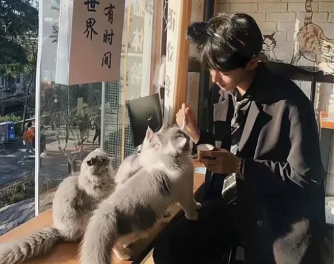 vivos7 感兴趣的话点“我想要”和我私...