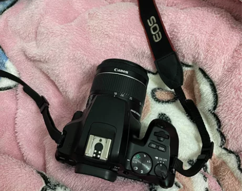 Canon/佳能 EOS 200D II ...