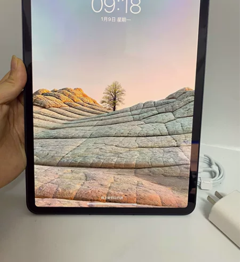 iPad pro11寸 2021款 256...