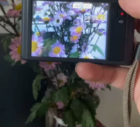 卡西欧EX-ZS15，功能，闪光灯正常，外...