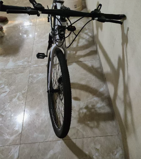 上班没时间骑，一直放在家里，变速不流畅，刹...