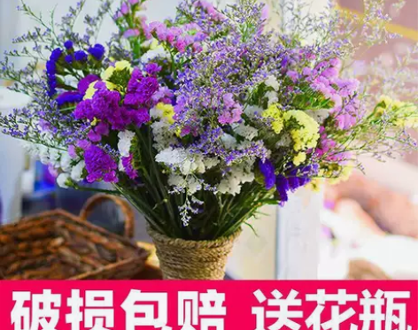 尾货清仓云南勿忘我满天星干花花束鲜花真花批...