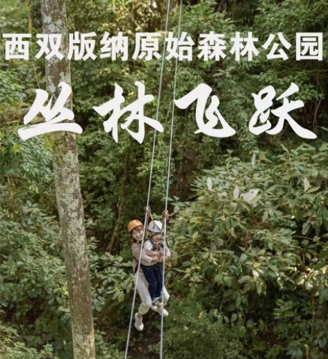 森林公园丛林飞跃优惠套餐: B段套票300...