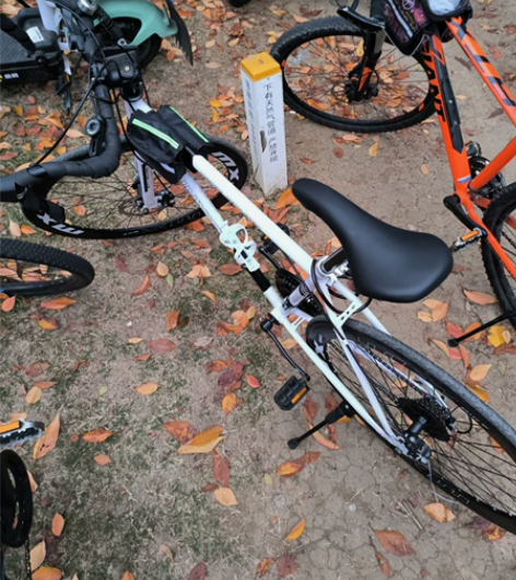 死飞公路自行车 车子有问题！车子有问题！ ...