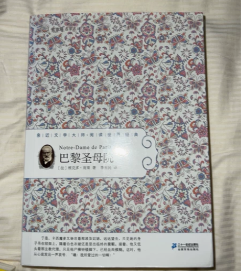 巴黎圣母院 正版 感兴趣的话点“我想要”和...