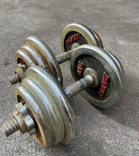 12公斤*2闲置哑铃转让 感兴趣的话点“我...