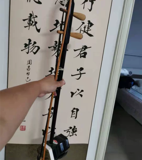 二胡乐器一个 原价280元买的，看上面28...