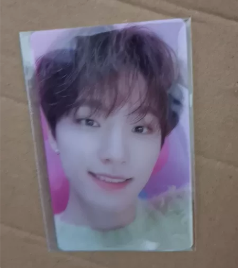 seventeen李灿 日专dream w...