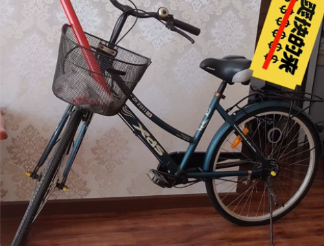 喜德盛省力轻便自行车，好像是28寸，反生挺...