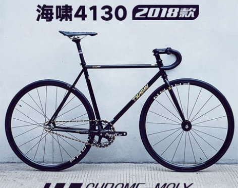 海啸（自行车） 死飞七月份购入自己加装了后...