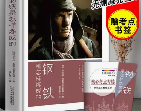 钢铁是怎样炼成的 正版原著无删减 外国文学...