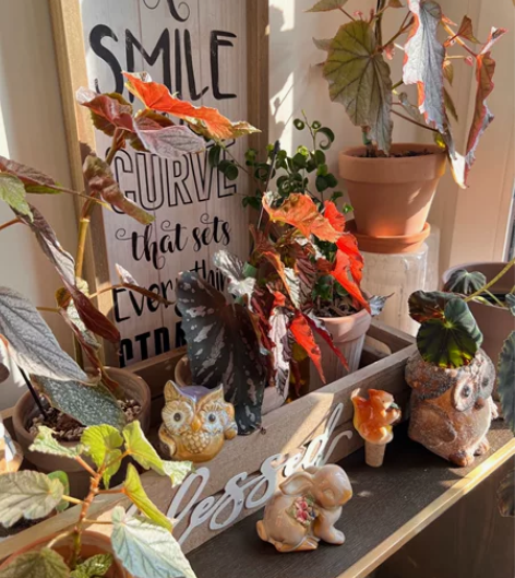 花园摆件 高温陶瓷 价格不一满68包邮