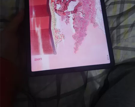 小米平板5pro，6+128，WLAN版，...