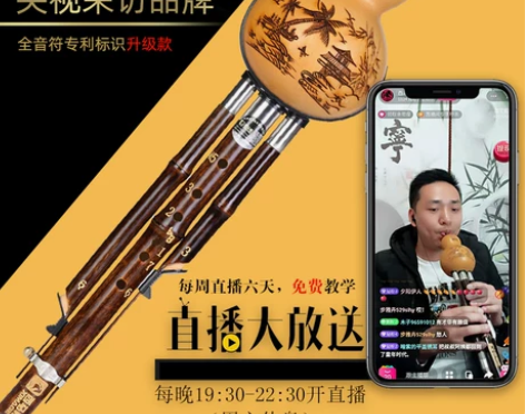 葫芦丝 葫芦丝初学乐器者小学生c调成人降B...
