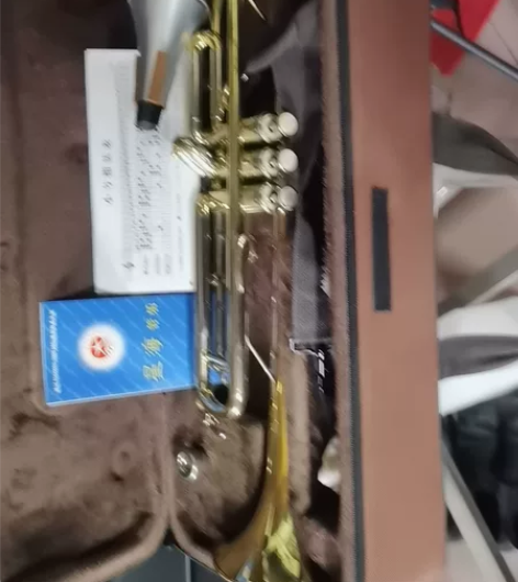 全新星海降B调小号，小孩不学了，低降出卖。...