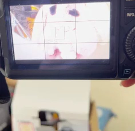 佳能60d单反套机， 配小痰盂二代镜头，拍...