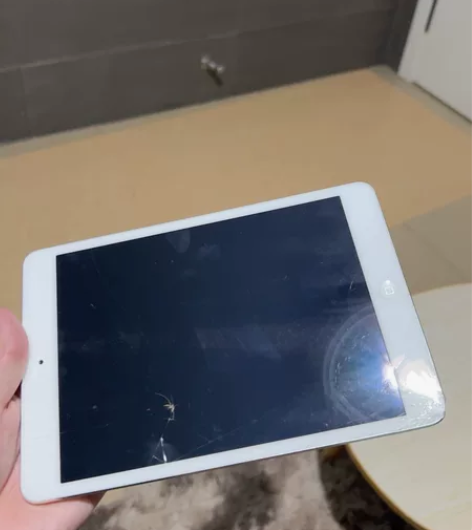 ipad mini 2。 16g 可以看电...