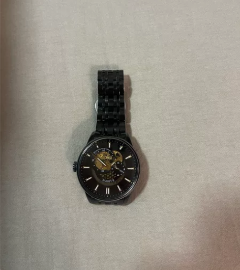 雷诺 机械手表 机械表镂空 正品男士手表 ...