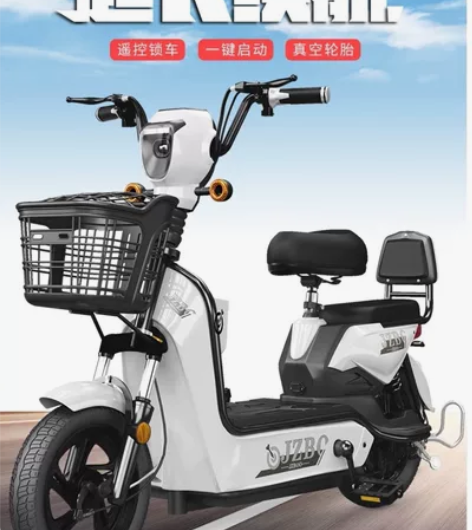 加州豹国标电动车小型电单车，买了半年差不多...