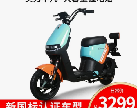 【狂欢价】新大洲PALLA新国标48V24...