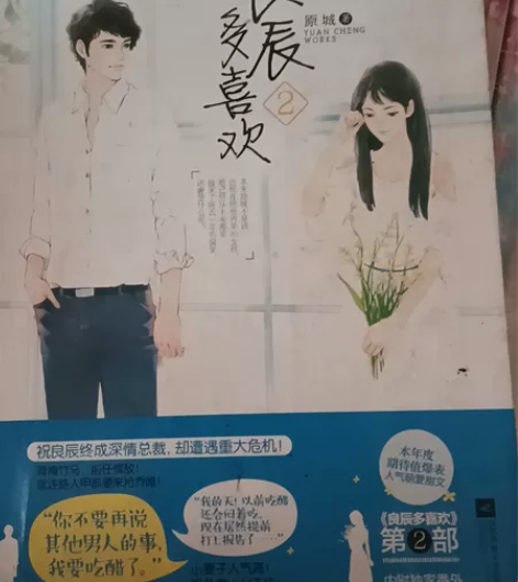 ☆青春文学书☆良辰多喜欢2原城 封面完整，...