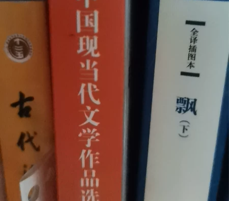 出中国现当代文学作品选读下 感兴趣的话点“...