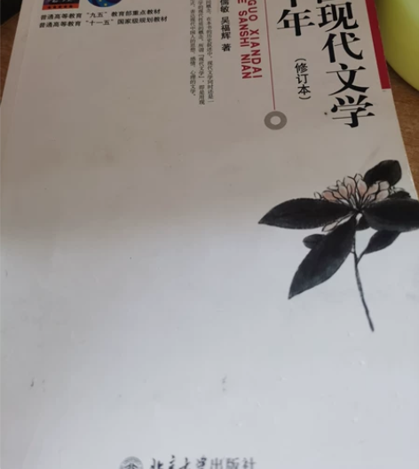 钱理群版中国现当代文学考研框架笔记资料 感...